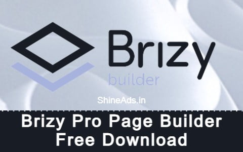 Brizy Pro Page Builder Free Download