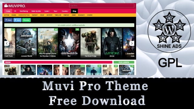 Muvi Pro Theme Free Download