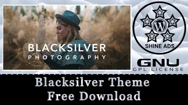 Blacksilver Theme Free Download