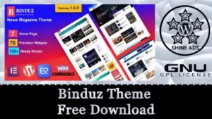 Binduz Theme Free Download
