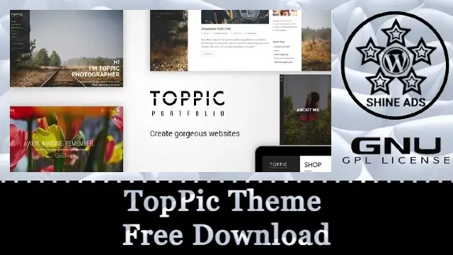 TopPic Theme Free Download