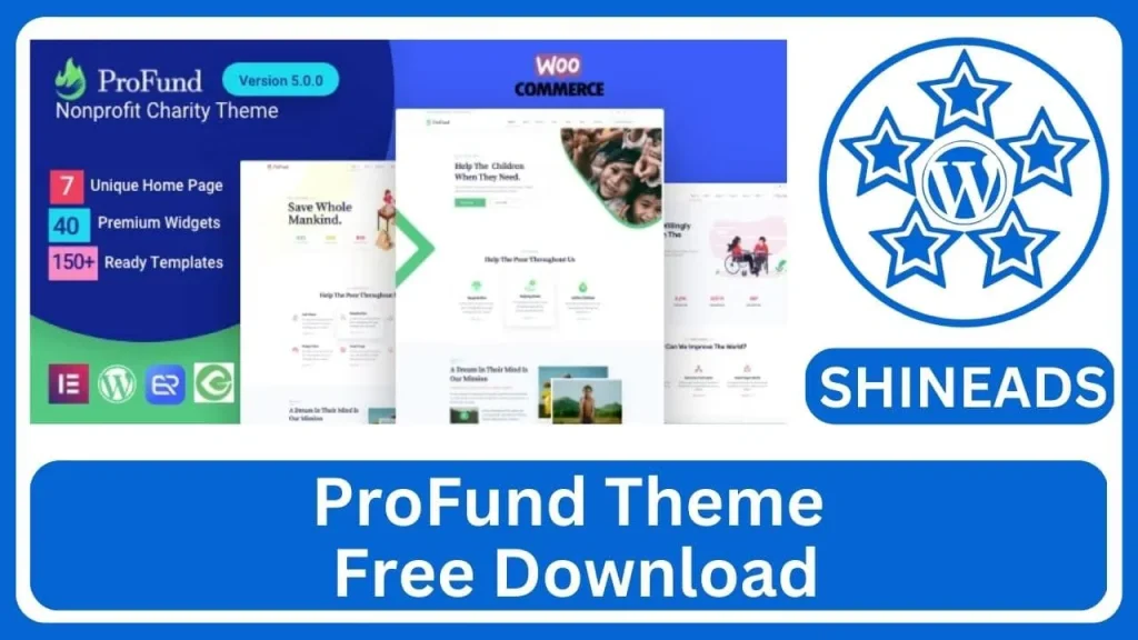 ProFund Theme Free Download