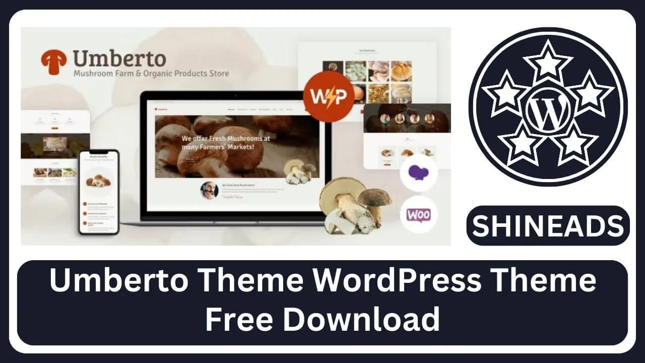 Umberto Theme WordPress Theme Free Download