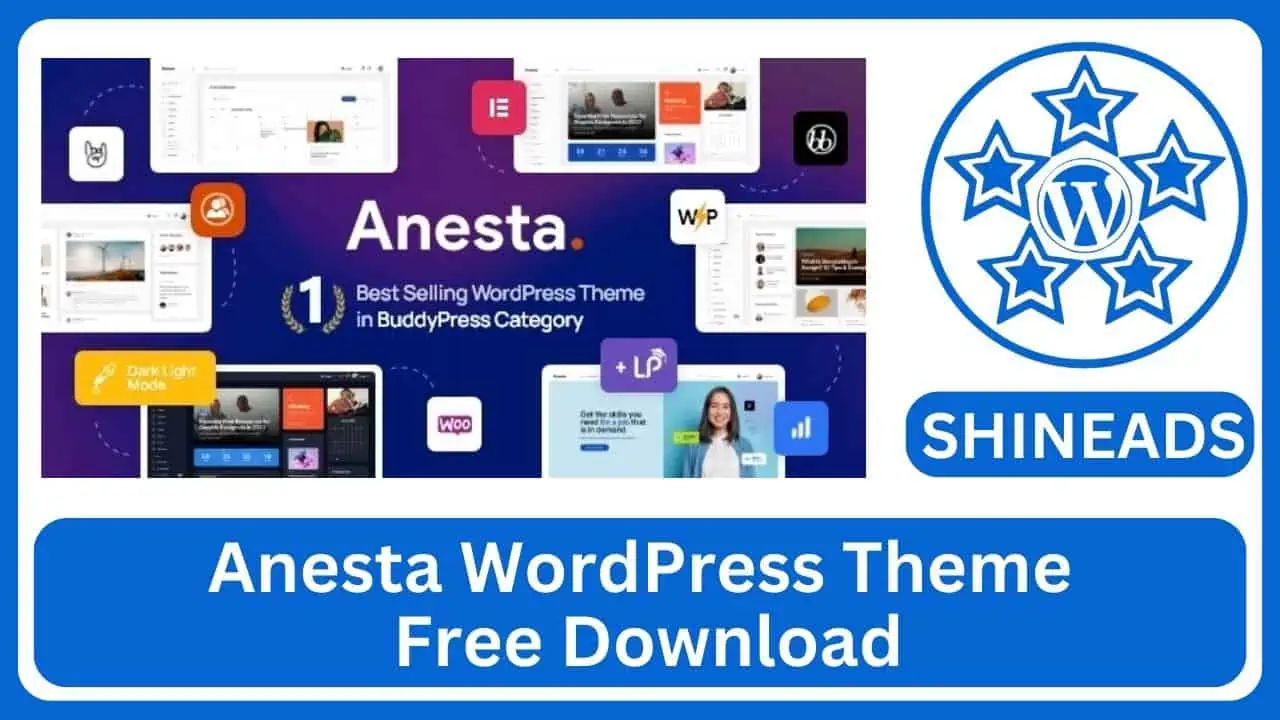 Anesta WordPress Theme + Skin 1.4.0 Free Download v1.5.4