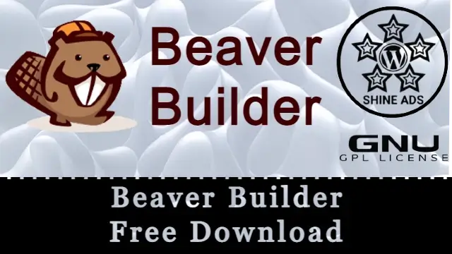 Beaver Builder Pro Free Download v2.10.2.2