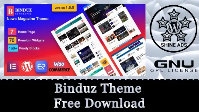 Binduz Theme Free Download v2.2.0