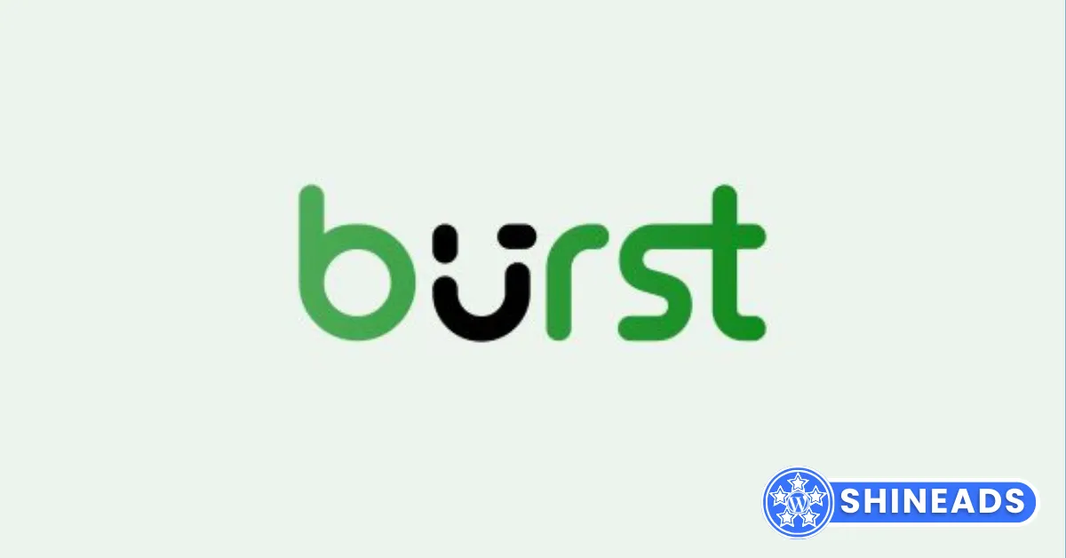 Burst Pro – Privacy-Friendly Analytics for WordPress Free Download v3.1.6.1