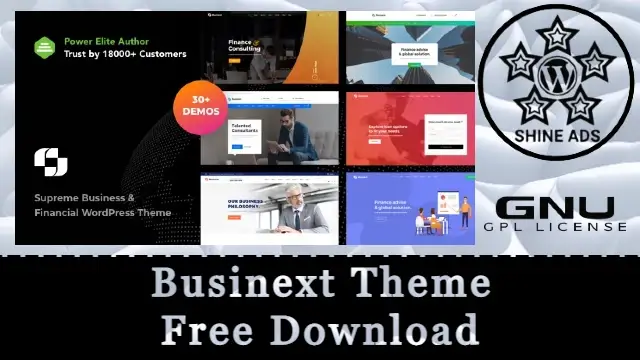Businext Theme Free Download 2.4.8