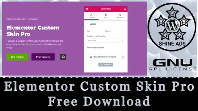 Elementor Custom Skin Pro  Free Download v3.2.5