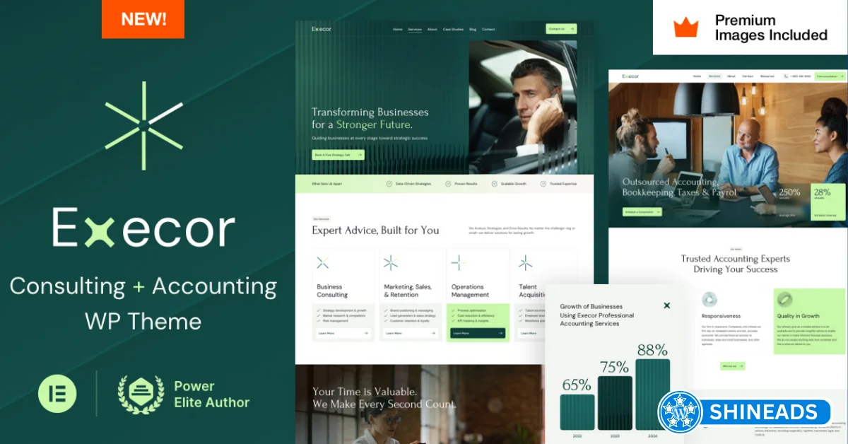 Execor Theme – Accounting and Management Consulting WordPress Theme Free Download v20.0