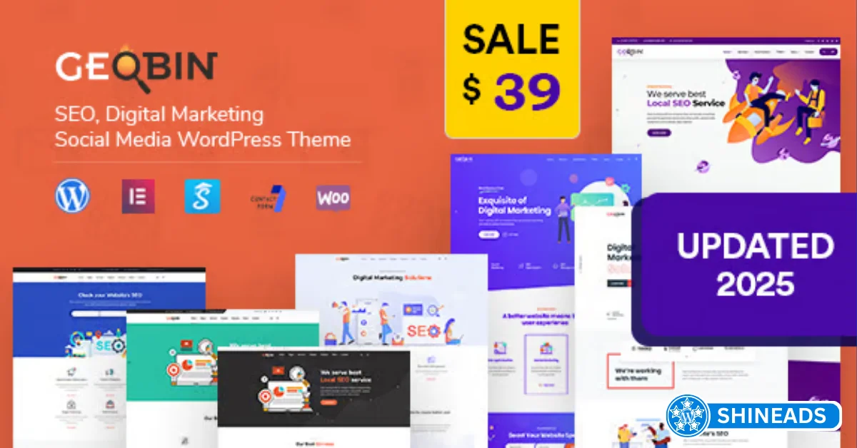 GeoBin Theme | SEO, Startup & SaaS WordPress Websites Free Download v2.8