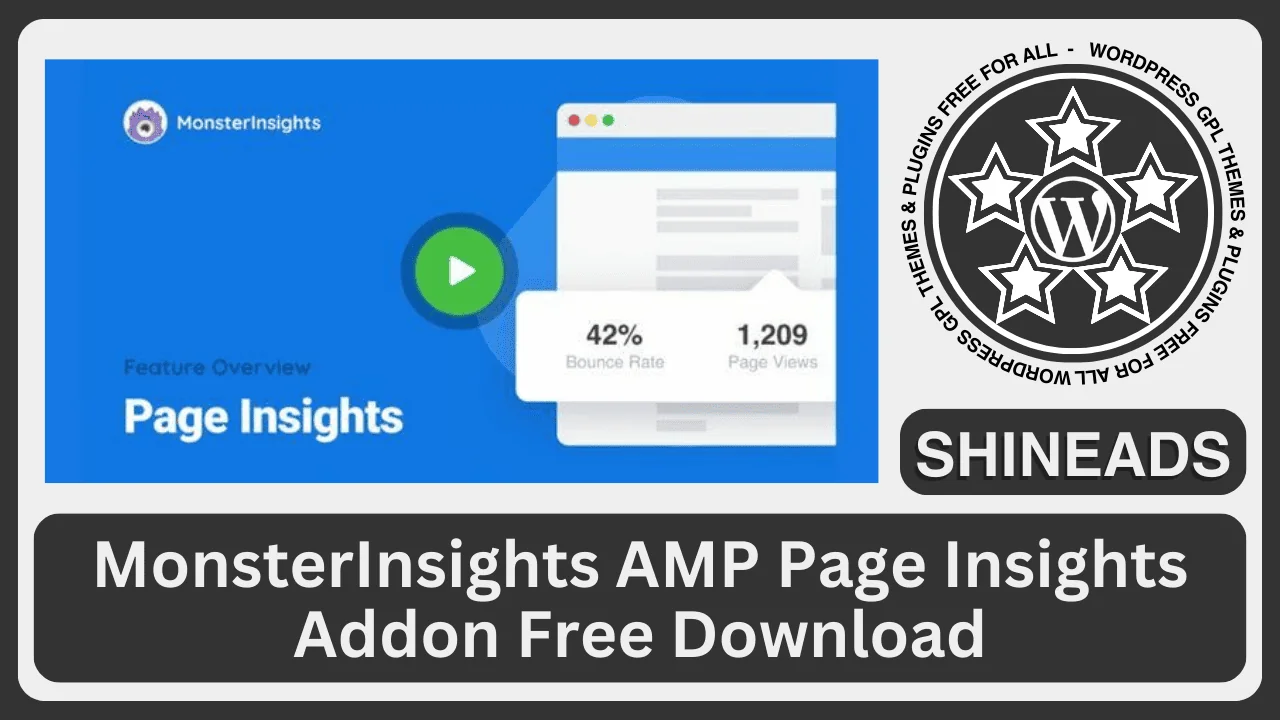 MonsterInsights AMP Page Insights Addon Free Download v1.7.1