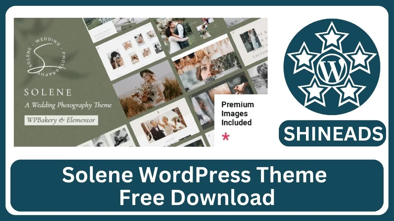 Solene WordPress Theme Free Download v3.0