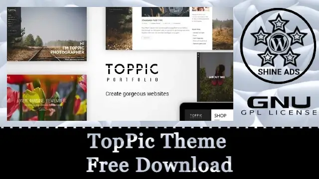 TopPic Theme Free Download v4.3.3
