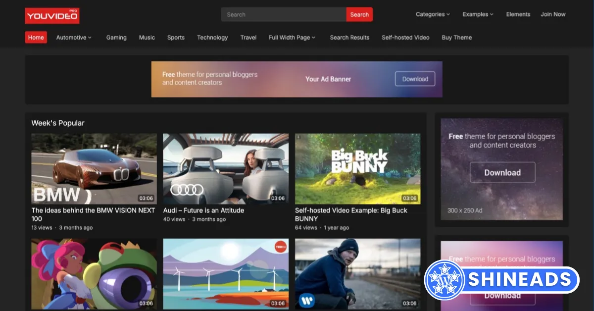 WPEnjoy Themes YouVideo Pro Free Download v1.0.1
