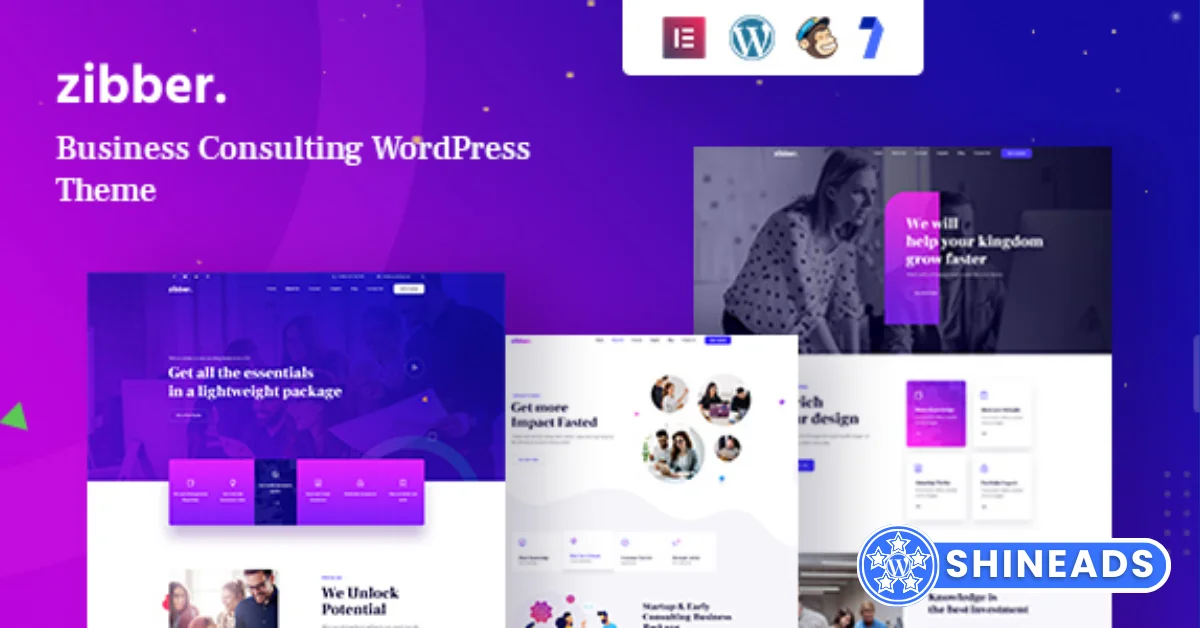 Zibber Theme – Consulting Business WordPress Theme + RTL Free Download v2.0.2