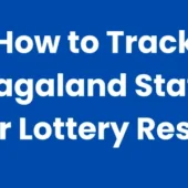How to Track Nagaland State Dear Lottery Results